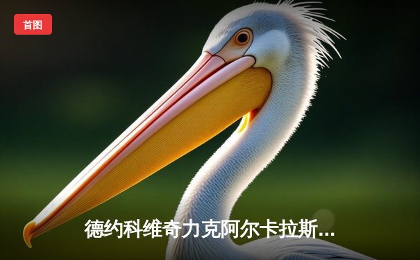 德约科维奇力克阿尔卡拉斯，六夺年终总决赛冠军创历史